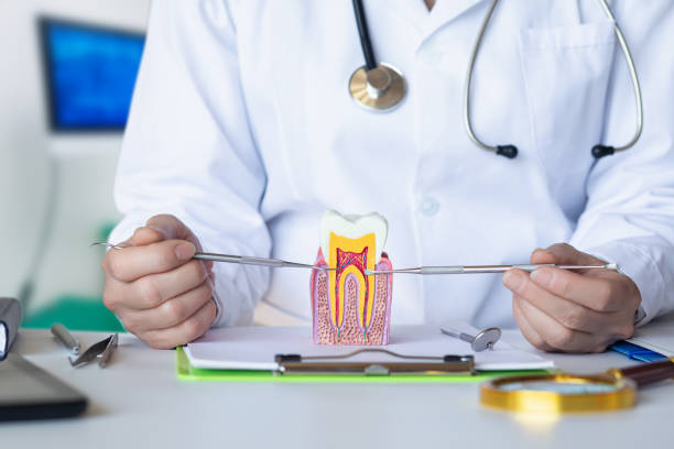Best Emergency Care for Gum Disease in Midway, AR